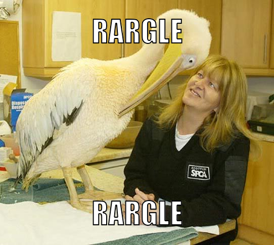 rargle rargle